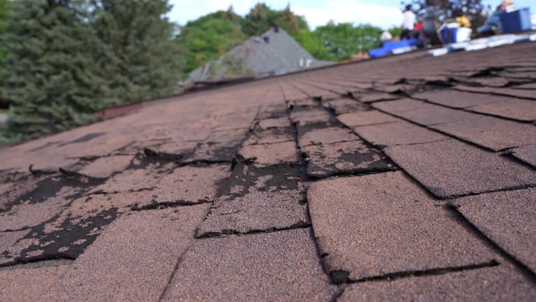 Best Flat Roofing  in Gordo, AL
