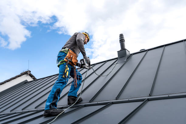 Best Skylight Installation and Repair  in Gordo, AL